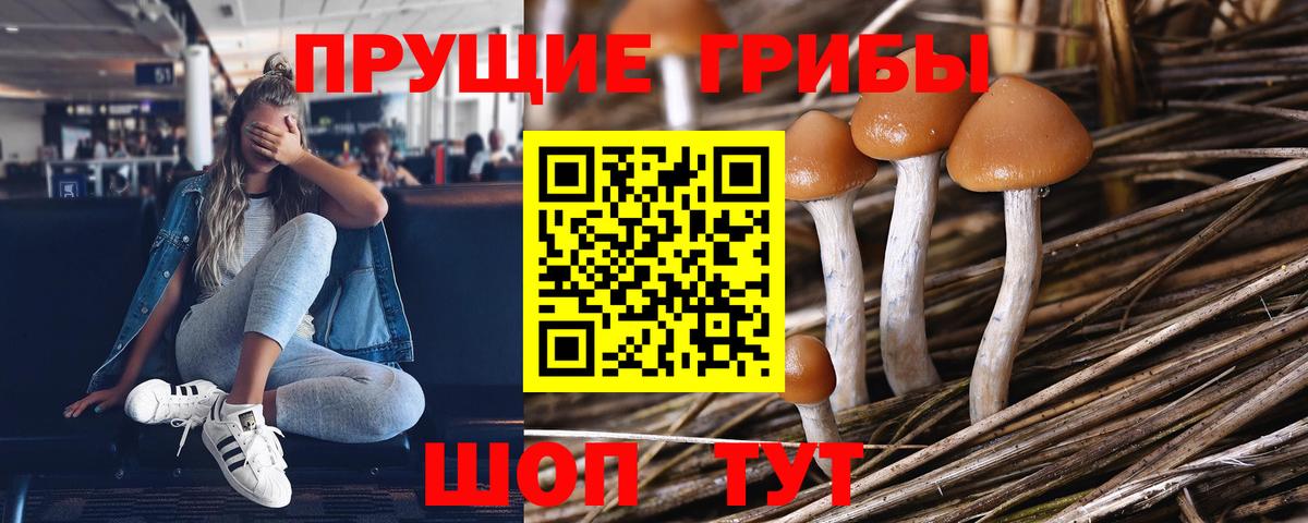 Менделеевск  Галлюциногенные грибы GOLDEN TEACHER  Вход с VPN 